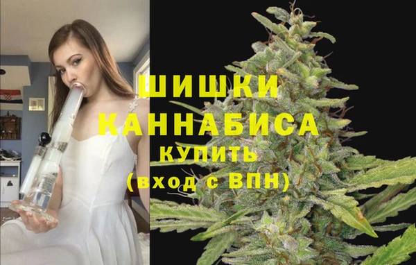 ALPHA PVP Верхний Тагил